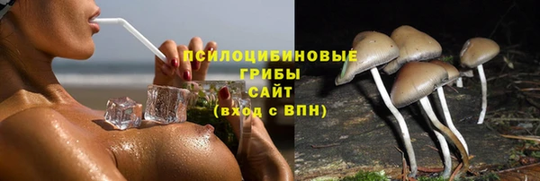 СК Алексеевка