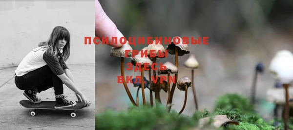 СК Алексеевка