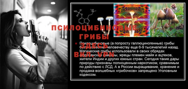 СК Алексеевка