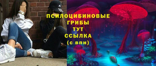 спайс Алексин